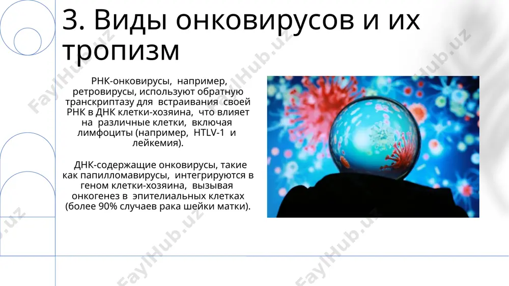 onkologiya virusov - Page 5