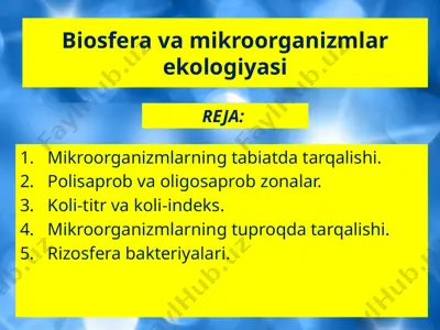 biosfera va mikroorganizmlar ekologiyasi — PPTX