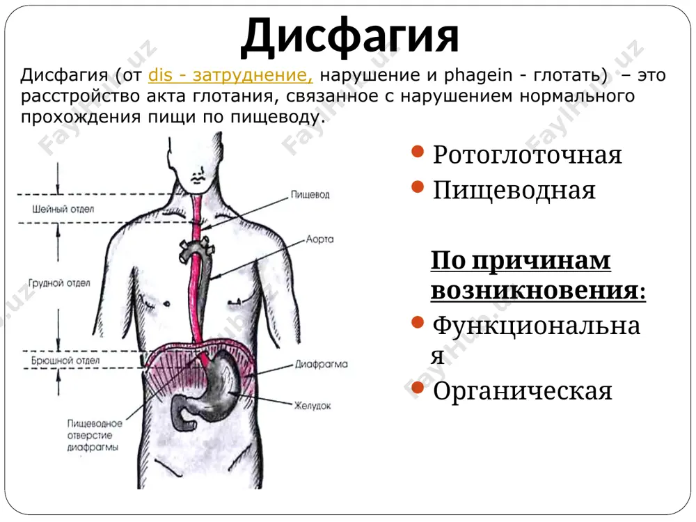 ушение его функции является основной причиной, приводящей к повреждению слизистой пищевода кислым желудочным содержимым.1 у 90% пациентов с гэрб нарушение работы нижнего пищеводного сфинктера возникает время от времени, и рефлюкс происходит в периоды, когда он расслаблен. в то же время у меньшей части больных тонус сфинктера постоянно снижен, и для возникновения заброса достаточно небольшого повышения внутрибрюшного давления. повреждающее действие кислого желудочного содержимого на слизистую пищевода, как правило, быстро устраняется за счет механизма перистальтического клиренса. этому способствует и нейтрализация кислоты ионами бикарбоната, содержащимися в проглатываемой слюне и секрете желез подслизистого слоя пищевода. при нарушении этих механизмов наблюдается усиление симптомов гэрб. katzka da, dimarino aj. in: the esophagus, second edition, castell do (editor). little, brown & company, boston, usa. 1995:443–53 нервное окончание проникновение кислоты в клетки через базальную мембрану вызывает отек и гибель клеток кислота пепсин бикарбонат соляная кислота и пепсин вызывают боль и повреждение клеток заброс желудочного содержимого приводит к непосредственному …