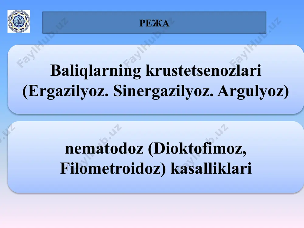inadi. bugimoyoqlilarning muskullari tanada tup-tup bulib joylashgan kundalang targil muskullardan iborat. opistorxoz bu it va boshqa go‘shtxo‘r hayvonlar hamda odamlarning tabiiy-o‘choqli invazion kasalligi bo‘lib, uni opistorchis felileus (oilasi opistorchidae)ni hayvonlarning jigar o‘t yo‘llarida, o‘t pufagida, ba’zan esa oshqozon osti bezining yo‘llarida parazitlik qilishi tufayli qo‘zg‘atiladi. qo‘zg‘atuvchisi. trematodaning tana uzunligi 8-13 mm, eni 1-1,5 mm. bosh tomoni biroz toraygan, orqa qismi esa kengaygan. oldingi tomonida og‘iz so‘rg‘ichi, tomoq, undan esa qizilo‘ngach va qizilo‘ngach bifurkatsiyalanib ichak naylarini hosil qiladi. qorin so‘rg‘ichi tananing to‘rtdan birinchi bo‘lagining oxirida joylashgan. urug‘donlari ikki bo‘lmali bo‘lib, tananing oxirgi qismida joylashgan, uning ustiga tuxumdon va urug‘ chiqaruvchi yo‘l, tananing o‘rta qismi bachadon shoxlari bilan to‘lgan. jinsiy teshik qorin so‘rg‘ichining oldida joylashgan. bugimoyoklilarning tana bushligi aralash bushlik – miksotseldan iborat. ovkat xazm kilish sistemasi oldingi, o‘rta va orka ichakdan xamda ovkat xazm kilish fermentlari ishlab chikaradigan bir kancha bezlardan iborat. kon aylanish sistemasi ochik bulib, tananing orka tomonidan joylashgan …