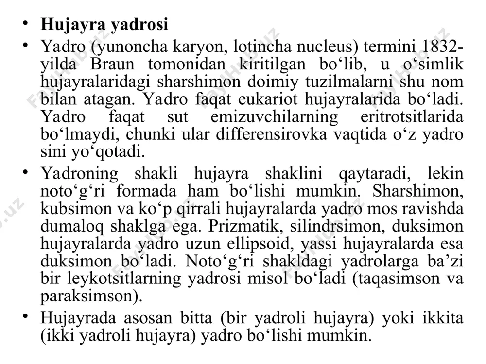 o‘llari yadroviy oqsillar orqali gen faoliyatiga ta’sir qiladi. yadro membranasi tuzilishi xromatin strukturasi xromatin – bu hujayra yadrosidagi genetik material bo‘lib, u dnk va oqsillarning murakkab majmuasi hisoblanadi. u hujayra hayot siklining turli bosqichlarida turli shakllarda bo‘ladi: interfazada xromatin diffuz (tarqalgan), mitoz va meyozda esa xromosomalar sifatida zichlashgan bo‘ladi. 1. xromatinning asosiy tarkibi xromatin uch asosiy komponentdan iborat: dnk – genetik ma’lumotlarni saqlovchi molekula. giston oqsillari – dnkni zichlash va strukturaviy barqarorlikni ta’minlovchi asosiy oqsillar. nongiston oqsillari – gen ifodalanishini va xromatinning tuzilishini boshqaruvchi oqsillar. 2. xromatin turlari xromatin ikkita asosiy turga bo‘linadi: euxromatin faol genlar joylashgan, ochiq va kam zichlashgan xromatin. gen ifodalanishi va transkripsiya jarayonlari aynan shu hududda sodir bo‘ladi. geteroxromatin juda zichlashgan va transkripsion jihatdan faol bo‘lmagan hudud. konstitutiv geteroxromatin – doimiy ravishda zichlashgan (masalan, sentromera va telomeralar). fakultativ geteroxromatin – zaruratga qarab euxromatin va geteroxromatin shakliga o‘tishi mumkin (masalan, x-xromosomaning lyonizatsiyasi – ayollarda bitta x-xromosoma faolsizlanishi). …