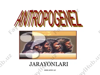 antropogenez jarayonlari — PPT