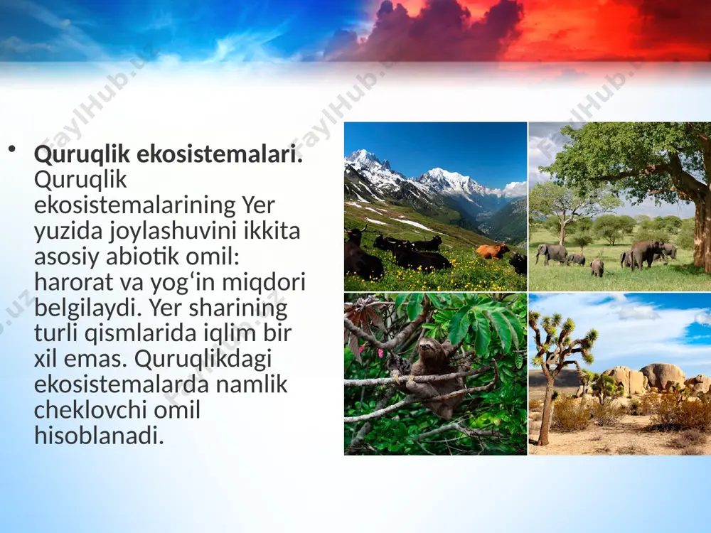 tabiiy ekosistemalar. 11 - sinf - Page 4