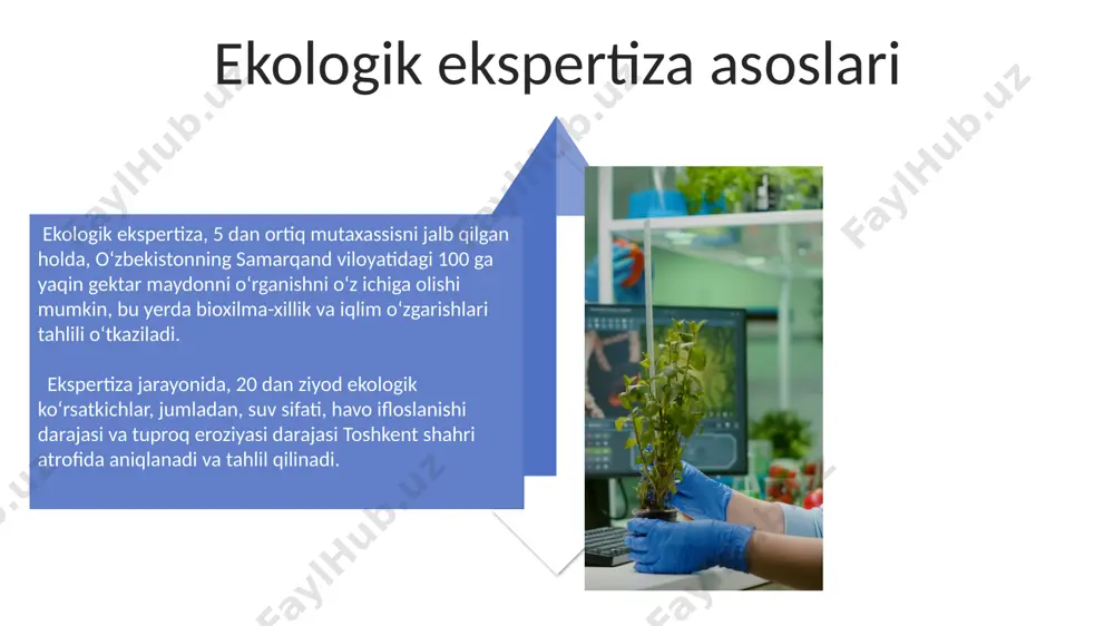 ekologik ekspertizaning ilmiy prinsiplari - Page 4