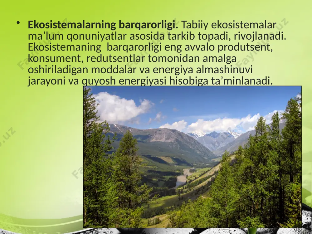 alar rivojlanayotgan ekosistemaning dastlabki bosqichlari hisoblanadi. jamoalar va atrof-muhit bilan o‘zaro muvozanat holati ta’minlangan ekosistemalar klimaks bosqichidagi ekosistemalar deb ataladi. klimaks bosqichigacha rivojlanish uzoq vaqt talab etadi (bir necha yuz yoki ming yillik). moddalar va energiyaning aylanishi to‘liq muvozanatlashgan, ya’ni bir turdagi organizmlarning hayotiy mahsulotlari boshqasi tomonidan o‘zlashtiriladigan klimaksli ekosistemalar tashqi muhitning muayyan ta’sirlariga nisbatan turg‘un va barqaror bo‘ladi. klimaksli ekosistemalarga tayga, tundra, dasht misol bo‘ladi. barqaror biogeotsenozlarning bosqichma-bosqich shakllanishini o‘rmon biogeotsenozning tiklanishi misolida ko‘rish mumkin. vulqon otilishi natijasida paydo bo‘lgan yalang‘och qoyalarda dastlab lishayniklar va suvo‘tlari paydo bo‘ladi. suvning muzlashi va erishi, lishayniklar tomonidan ishlab chiqariladigan kislotalar toshlarni yemirishi tufayli tuproq qatlami hosil bo‘ladi. lishayniklarning qoldiqlari tuproq qatlamini organik birikmalar bilan boyitadi. keyinchalik bu yerda yo‘sinlar o‘sa boshlaydi. lishayniklar va yo‘sinlar bilan bir vaqtda bu hududda hasharotlar, o‘rgimchaklar va boshqa umurtqasizlar yashay boshlaydi. shundan so‘ng shamol yordamida bir yillik va ko‘p yillik o‘tlarning tarqalishiga imkon yaratiladi. tuproq tarkibida qoldiq …