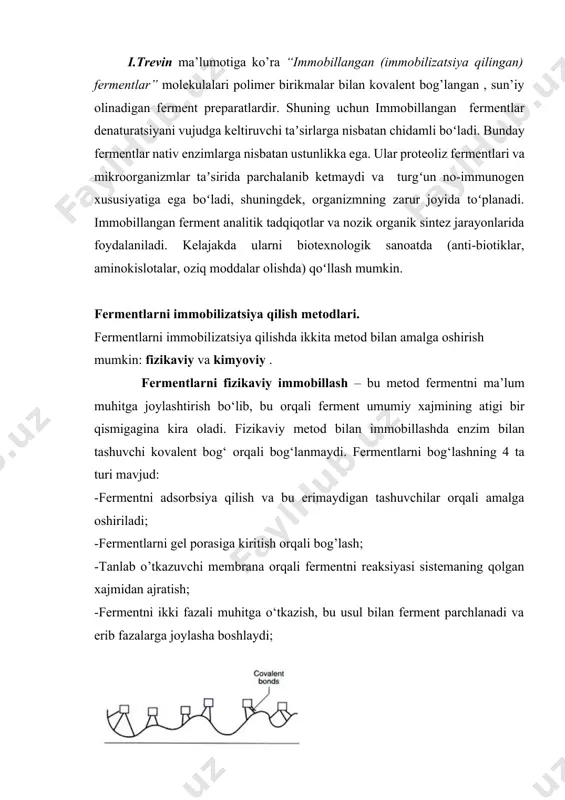 mmunogen xususiyatiga ega boʻladi, shuningdek, organizmning zarur joyida toʻplanadi. immobillangan ferment analitik tadqiqotlar va nozik organik sintez jarayonlarida foydalaniladi. kelajakda ularni biotexnologik sanoatda (anti-biotiklar, aminokislotalar, oziq moddalar olishda) qoʻllash mumkin. fermentlarni immobilizatsiya qilish metodlari. fermentlarni immobilizatsiya qilishda ikkita metod bilan amalga oshirish mumkin: fizikaviy va kimyoviy . fermentlarni fizikaviy immobillash – bu metod fermentni ma’lum muhitga joylashtirish bo‘lib, bu orqali ferment umumiy xajmining atigi bir qismigagina kira oladi. fizikaviy metod bilan immobillashda enzim bilan tashuvchi kovalent bog‘ orqali bog‘lanmaydi. fermentlarni bog‘lashning 4 ta turi mavjud: -fermentni adsorbsiya qilish va bu erimaydigan tashuvchilar orqali amalga oshiriladi; -fermentlarni gel porasiga kiritish orqali bog’lash; -tanlab o’tkazuvchi membrana orqali fermentni reaksiyasi sistemaning qolgan xajmidan ajratish; -fermentni ikki fazali muhitga o‘tkazish, bu usul bilan ferment parchlanadi va erib fazalarga joylasha boshlaydi; 7-rasm. fermentlarni kovalent immobillash fermentlarni adsorbsion immobilizatsiya qilish immobillashning eng qadimgi metodi bo‘lib, 1916 yili unga asos solingan. ushbu metod oson va qulay bo’lib …
