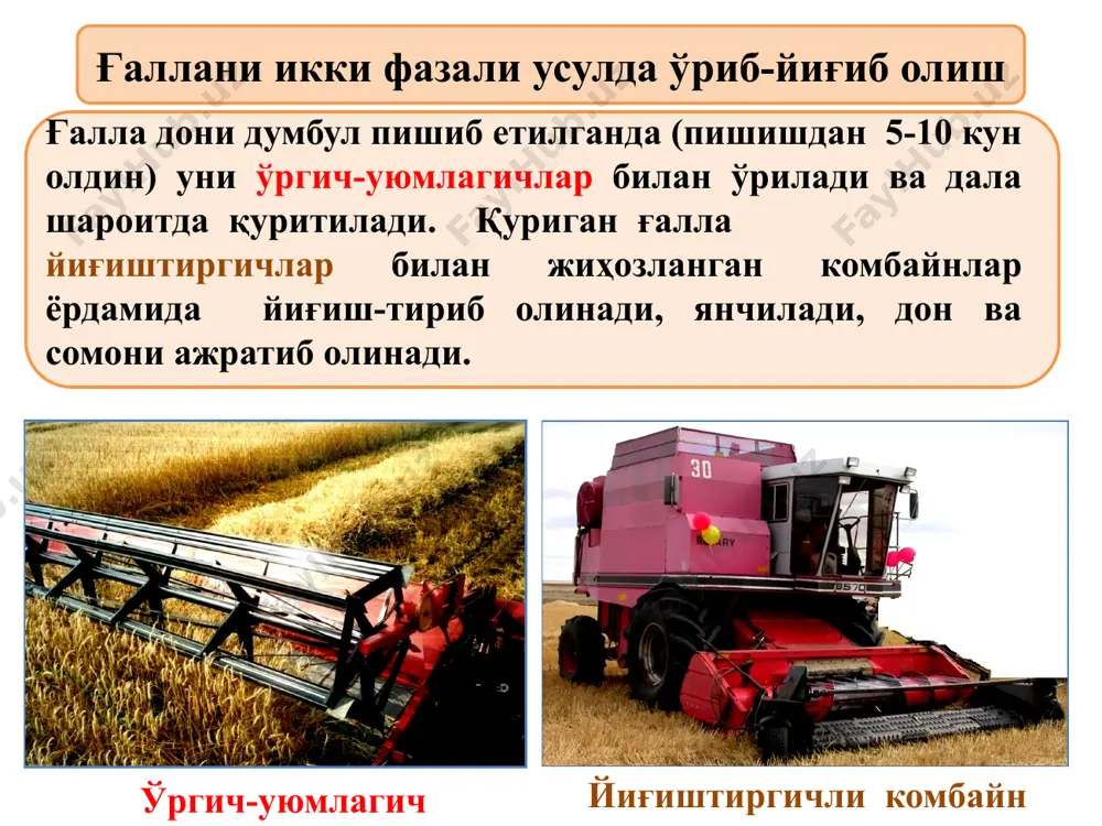 н дон таркиби бошқа аралашмалар билан ифлосланиши 7-9 фоизгача, чала янчилган бошоқ қисмлари эса 4-5 фоизни ташкил этади. донни дастлабки ишлов беришда унинг ўзига хос бўлган хусусиятларини ҳисобга олган тозалаш усулидан фойдаланиланиб, бу жараённи амалга оширадиган ишчи қисмларга эга бўлган дон тозалаш машиналарида амалга оширилади. бу машиналар ишчи қисмларнинг ишлаш тарзи эса донли аралашма зарраларининг физик механик хоссалари фарқига асослангандир. ушбу хоссаларга уларнинг катталиги (ўлчами), аэродинамик хоссалари, юзасининг ҳолати, шакли, зичлиги, қайишқоқлиги, механик қаттикдиги, ранги, электрофизик хоссаси ва бошқалар киради. маҳсулотларига дастлабки ишлов бериш машиналари ишчи қисмлари а-аэродинамик хоссаси бўйича 1-аспирация канали, 2- ҳаво билан тозалаш; б- ўлчамлари бўйича 3- учбурчак ва 4- айлана тешикли ғалвирлар, 5-бўртма чуқурчали (триер) юза; в- юзасининг ҳолати бўйича 6-қия ва 7-кўндаланг текислик; д-электромагнит хоссаси бўйича 8-электр магнитли юза, 9-магнитли юза г-шакли бўйича 10-винтсимон юзали, 11-учбурчак тешикли; е- оғирлиги ва ишқаланиш кучи бўйича 12 - пневмотебранишли 15 маҳсулотларига дастлабки ишлов бериш усуллари дастлабки ишлов бериш …