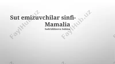 sut emizuvchilar sinfi — PPTX