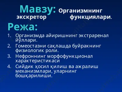 организмнинг экскретор функциялари — PPT