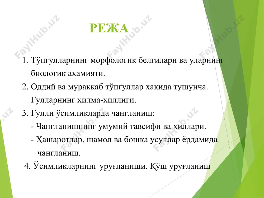 а айрим гуллар бўлади. беда, ширач, ер ёнғоқ, оқ акация ва бошқаларнинг гуллари ана шундай тўпгуллар хисобланади. оддий бошоқ – узун асосий танада гулбандсиз гуллар жойлашган бўлади. зубтурум гули, қиёқнинг тўпгуллари ана шундай тўпгулларга мисол бўлади. сўта – оддий бошоққа ўҳшаш, аммо тўпгулининг асосий танаси йўғон, серэт бўлади. бунга маккажухори сўтаси мисол бўла олади. ясси тўпгул, даста тўпгул. пастда жойлашган хар бир гулбанди юқоригидан узунроқ бўлган шингил. шунинг учун гуллар деярли бир хил баландликда жойлашади. олма, нок ва бошқаларнинг гуллари мисол бўлади. соябон. асосий танаси қисқа, гулбандлари худди бир жойдан чиққандек ва узунлиги ҳар хил бўлади, шунинг учун гуллар деярли бир хил текисликда жойлашади ёки гумбазсимон бўлади. пиёз ва олчанинг тупгуллари мисол бўлади. кучала. пастга осилиб турадиган бошоқ. гуллагандан кейин унинг ҳамма тўпгули тўкилиб кетади. бундай типдаги тўпгул кўпгина дарахтлар, яъни ёнғоқ, тол, терак, қайин ва бошқа ўсимликларнинг тўпгуллари мисол бўлади. каллакеча яъни бошча. ташқи кўринишидан соябонга ўҳшайди, бироқ асосий …