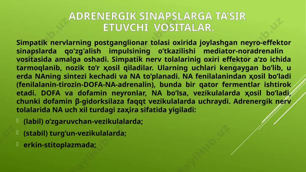 (5min tomirga, 30min mushakga kiritilsa), chunki ekstraneyronal yutiladi va parchalanadi. noradrenalin. α va β adrenoresteptorlarni (kuchsizroq β2) bevosita qo'zg'atadi. qon bosimi kuchli, lekin qisqa oshadi (bir necha minut), chunki teri, shilliq qavatlari, mit a’zolarini, buyrak qon tomirlarini toraytirib, ularning umumiy periferik qarshiligini oshiradi. β2-adrenoresteptorlarni qo'zg'atmaganligi sababi-dan na ta’sirida adrenolinnikiga o’xshab keyinroq qon bosimi pasaymaydi. na bradikardiyaga olib keladi, chunki karotid koptokchasidagi baroresteptorlar qozgalib, reflektor yo’l bilan adashgan nerv markazi qozgaladi, lekin yurakning sistolik ҳajmi ortadi. mns, ichki a’zolarning mushaklariga va modda almashinuviga na adrenalinga o’xshab, lekin kuchsizroq ta’sir ko’rsatadi. mitda na parchalanganligi uchun uni parenteral yo’l bilan kiritiladi. teri ostiga kiritilganda, tomirlarni kuchli toraytirganidan, nerkozga olib keladi, shuning uchun t/i tomchilab, qon bosimini e’tiborga olgan ҳolda kiritiladi. organizmda na tez parchalanadi va uning qoldiqlari buyrak orqali peshob tarkibida ajraladi. organizmdagi naning asosiy miqdori presinaptik membranada ҳosil bo’ladi. faqqt 15% buyrak usti bezining miya qismida sintezlanadi. asosan α -adrenoreцeptorlarni qo’zg’atuvchi vositalar …