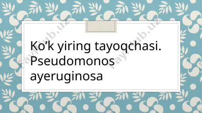 koʻk yiring tayoqchasi — PPTX