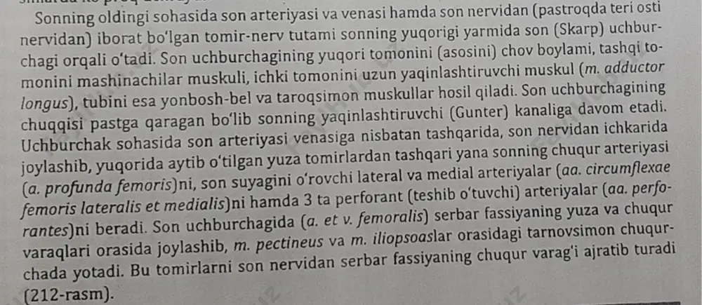 bo'yin sohalari va iuchtdrehakiand - Page 5