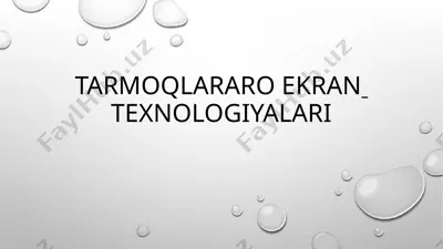 tarmoqlararo ekran texnologiyalari — PPTX