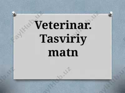 veterinar. tasviriy matn (dars rejasi) — PPTX