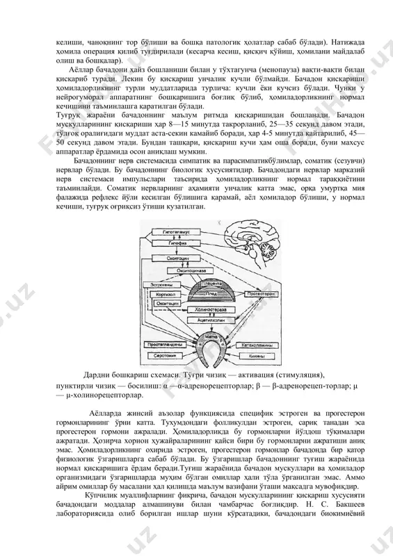 и 3-4 см очилгунича, фаол даври - 4 смдан тўлиқ очилгунича. фаол даврида акцелерация даври, максимал тезлик ва унинг секинлашиши (децелерация) ажратилади. бачадон бўйнининг очилиш тезлиги туғруқнинг тўғри кечишини кўрсатади. бачадон бўйнининг очилиш тезлиги биринчи туғувчиларда туғруқ бошида (латент фаза) 0,35 см/соат, фаол фазада - 1,5-2 см/соат ва қайта туғувчиларда 2-2,5 см/соатни ташкил этади. бачадон бўғзининг 8 дан 10 смгача очилиши секин кечади (секинлашиш фазаси) - 1 —1,5 см/соат давом этади. бу тезлик бачадон миометрийси қисқарувчанлигига, бачадон бўйни резистентнлигига ва улар комбинациясига боғлиқ. туғруқнинг биринчи даврида аёл фаол бўлиши лозим. у руҳий туғруққа тайёрланиш машғулотларида ўрганган оғриқсизлантириш усулларини қўллаши мумкин. туғруқ давомида турмуш ўртоғи ва бошқа қариндошлари иштирок этиши мумкин. кўпсувлиилк, муддатидан олдинги туғркқ, ҳомиланинг чаноғи билан олдинда келишида ётоқ тартиби тавсия этилади, аёл овқатланиши ва суюқликлар ичиши мумкин. туғруқ бошланишининг асосий сабаблари туғруқнинг бошланиш сабабларини тушунтирадиган назариялар гиппократ давридан бошланган. ҳомиладорлик нормал кечганда ҳомила тараққиёти тўхтагандан кейин бачадон мускуллари …