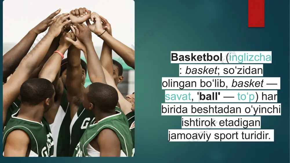 basketbol - Page 3