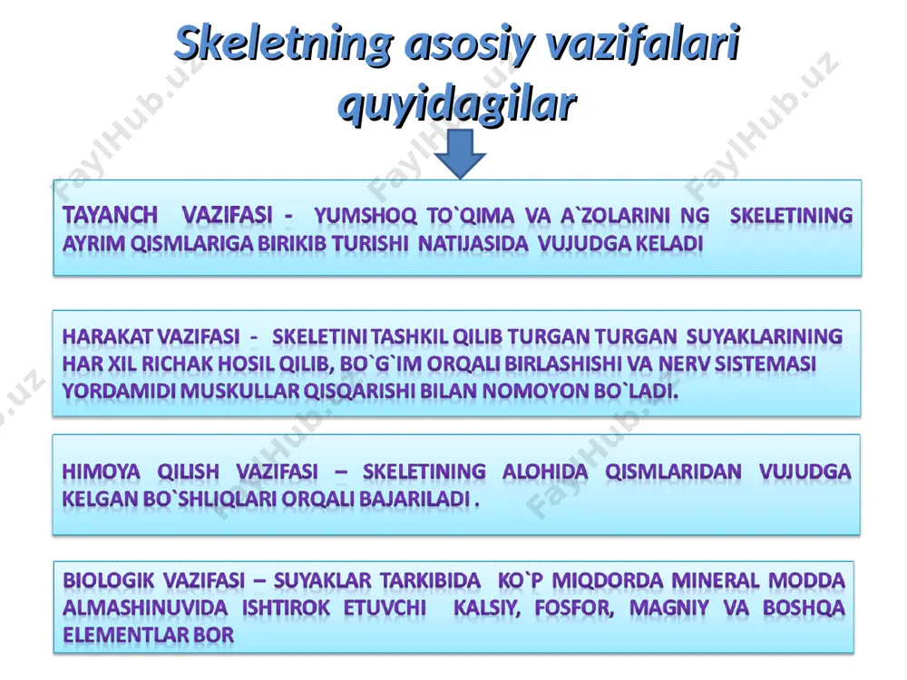 osteologiya-suyaklar haqida ma’lumot - Page 3