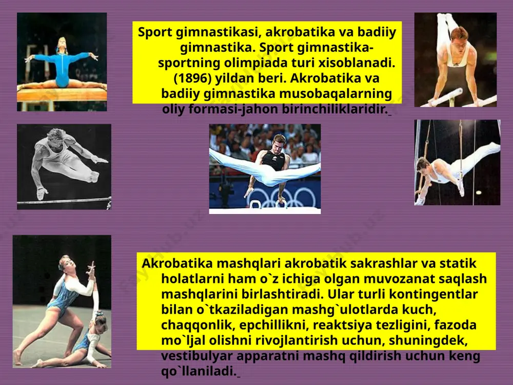 sport gimnastikasi: akrobatika - Page 2