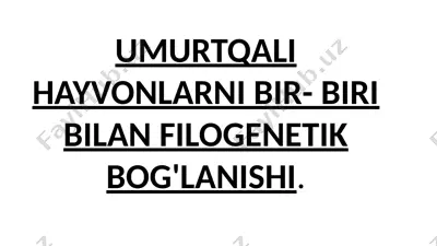 umurtqali hayvonlarni bir-biri bilan filogenetik bog'lanishi — PPTX