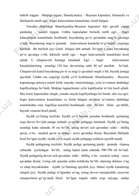 tdan: ichki - shilliq qavat, o‘rta - muskul qavat va tashqi - seroz qavatdan iborat. buyrakda filtrlanib hosil bo‘lgan siydik, siydik yo‘li orqali siydik pufagiga uzluksiz quyilib turadi. siydik pufagining tuzilishi. siydik pufagi qorinning pastki qismida chanoq sohasida joylashgan bo‘lib, uning hajmi katta odamda 500-700 ml bo‘ladi. siydik pufaginiig devori uch qavatdan: ichki - shilliq, o‘rta - muskul, tashqi - seroz qavatdan iborat. uning tub qismida uchta teshikcha bo‘lib, ularning ikkitasi o‘ng va chap buyraklardan siydik yo‘llarining quyilish joyi, bittasi siydik kanalining chiqish joyi. siydik pufagi to‘lgandan so‘ng, uning devori taranglashib, sezuvchi retseptorlarni qo‘zg‘atadi. hosil bo‘lgan impuls oldin orqa miyaga, undan bosh miya yarim sharlariga boradi va odamda siydik chiqarish refleksi yuzaga keladi. harakatlantiruvchi nervlarining qo‘zg‘alishi orqali siydik pufagi devorining silliq muskullari qisqarib, unda to‘plangan siydik, siydik chiqarish kanali orqali tashqariga chiqariladi. buyrakda siydik hosil bo‘lishi. buyrakda siydik hosil bo‘lishi ikki davr (fazaga) bo‘linadi. birinchi davr - filtratsiya davri deyilib, …