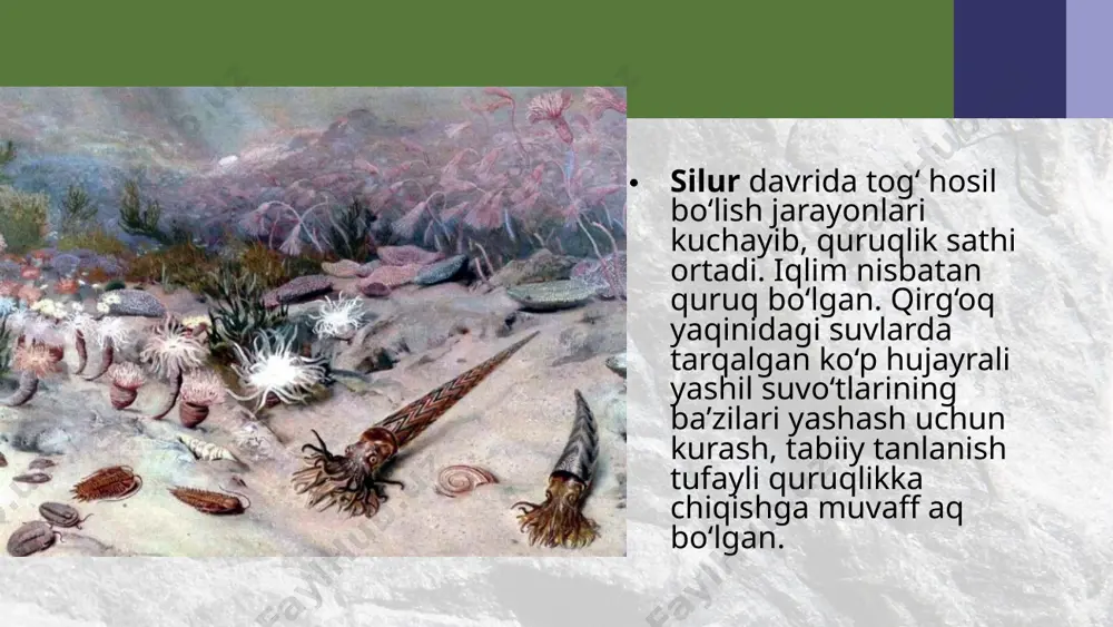 paleozoy erasidagi hayot. 10 - sinf - Page 5