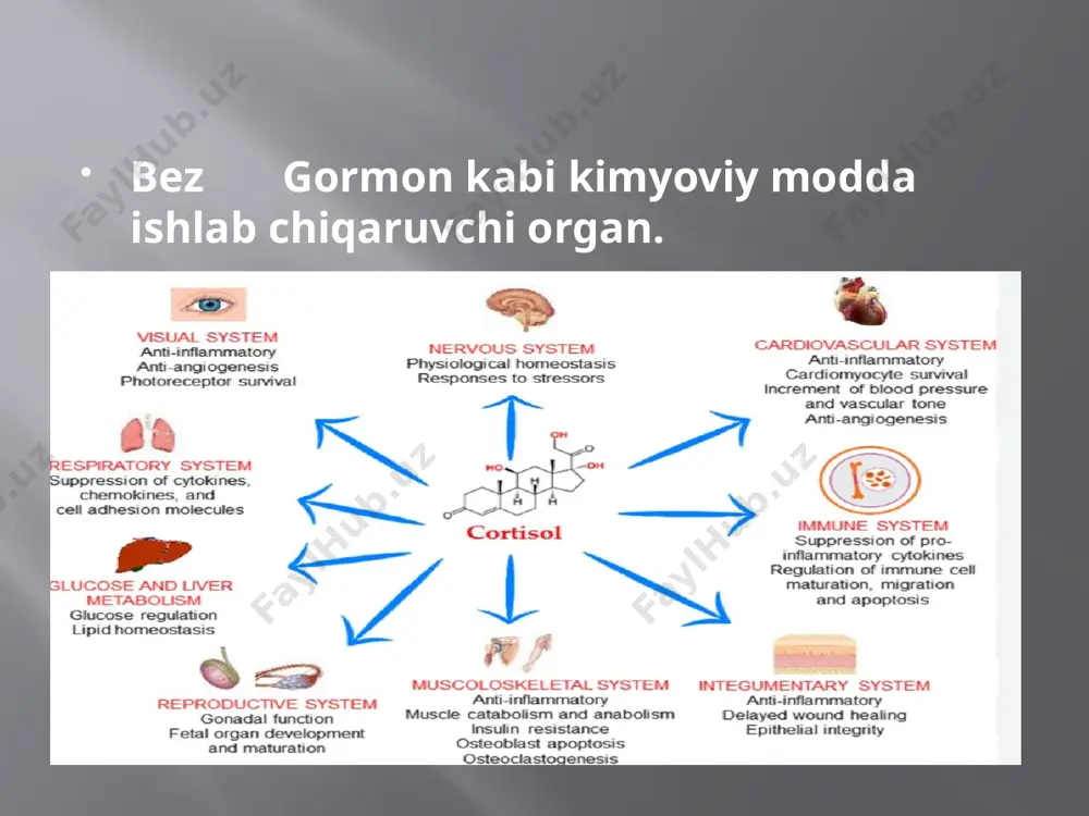 organizmning nerv immun endokrin boshqariluvi - Page 5