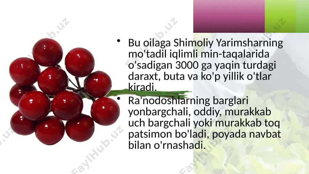ra'nodoshlar oilasi. 6 - sinf - Page 3