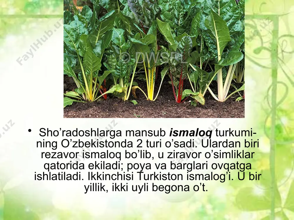 sho’radoshlar oilasi - Page 5