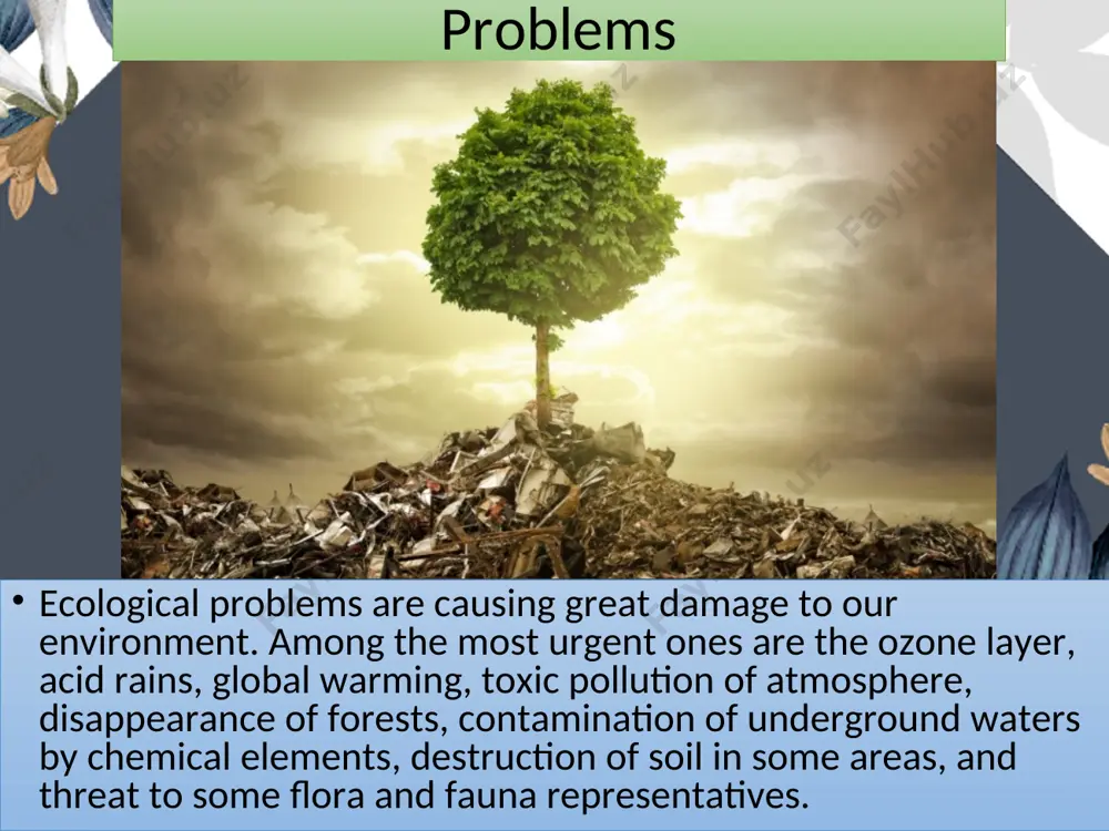 ecological problems - Page 3