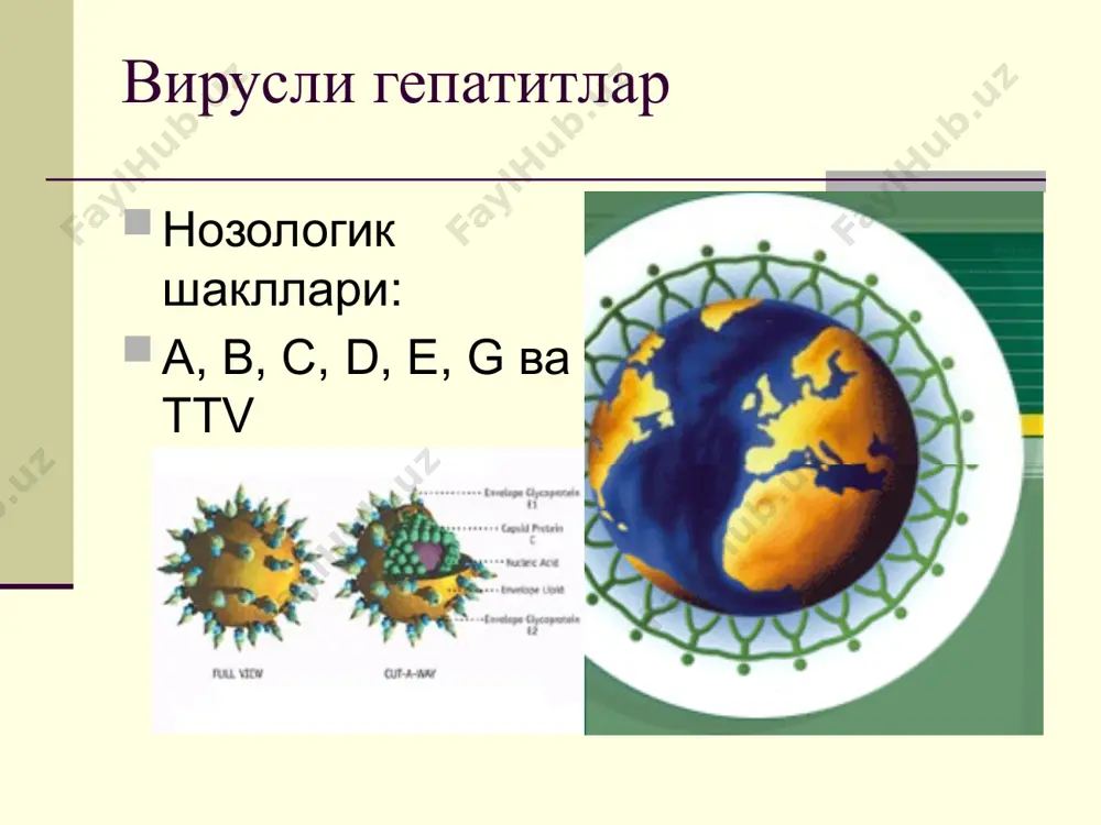 вирусли гепатитлар - Page 3