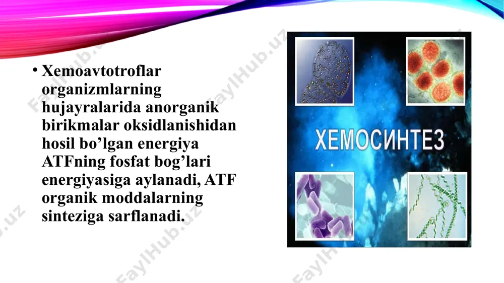 xemosintez - Page 5