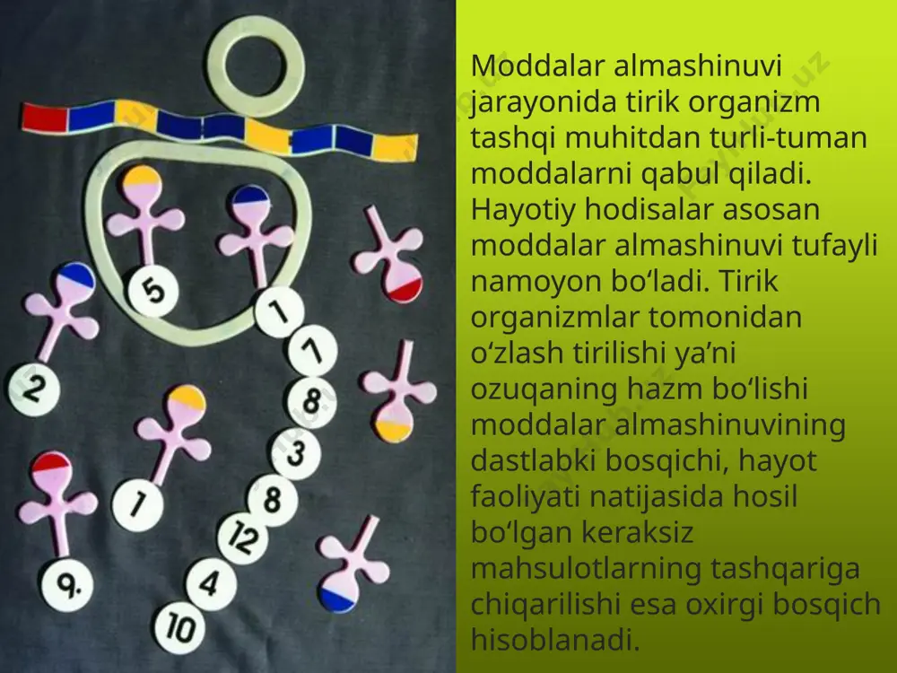 moddalar almashinuvi. 9 - sinf - Page 5
