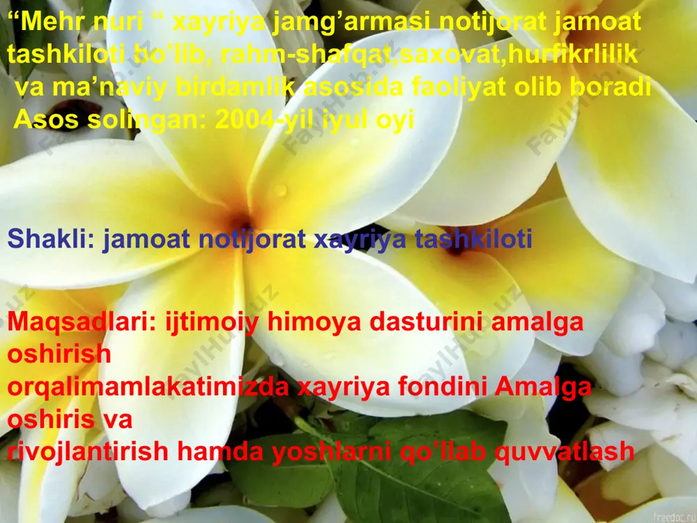mehr nuri jamg'armasi - Page 2