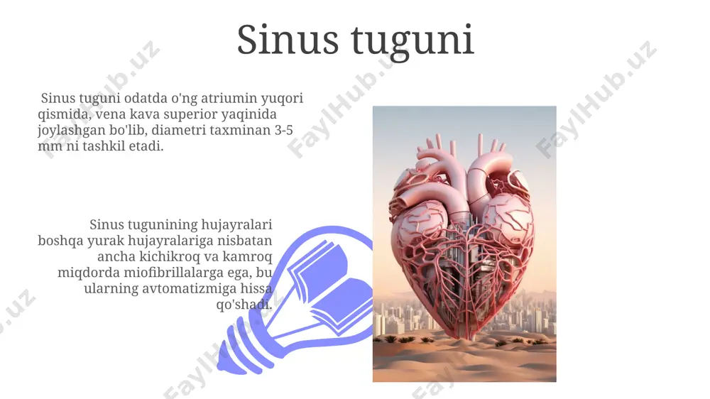 igiga, yoshga va sog'liq holatiga qarab o'zgarib turadi, bu esa elektrokardiogramma (ekg) yordamida aniqlanishi mumkin. diastola diastolaning asosiy vazifasi qonni qorinchalarga to'ldirish bo'lib, bu jarayon taxminan 0,5 sekund davom etadi va atriyalarning sistola bilan birga amalga oshiriladi. atrioventrikulyar klapanlar diastola boshlanishida ochilib, qonning passiv ravishda qorinchalarga o'tishiga imkon beradi, bu jarayon o'rtacha 70-80% qon hajmini tashkil qiladi. yurak qorinchalari 01 02 qorinchalar ichidagi papillar mushaklar va tendinoz torlar yurakning klapanlarining yopilishini ta'minlab, qonning teskari oqishini oldini oladi. sales 1st qtr 2nd qtr 100 0 sales 1st qtr 2nd qtr 100 0 yurak bo'lmachalari yurak klapanlari – trikuspid va mitral klapanlar – qonning teskari oqimini oldini olish uchun, qon oqimining bir yo'nalishda harakatlanishini ta'minlaydi. ularning ochilish va yopilish tezligi soniyada 100 martaga yetadi. yurakning o'ng qorincha devori chap qorinchaga qaraganda 3-4 mm ga yupqaroq bo'lib, uning asosiy vazifasi qonni o'pkaga o'tkazishdir, sistola bosimi esa ancha past. gis to'dalari yurak tuzilishining gistologiyasi …