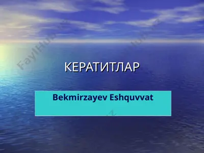 кератитлар — PPT