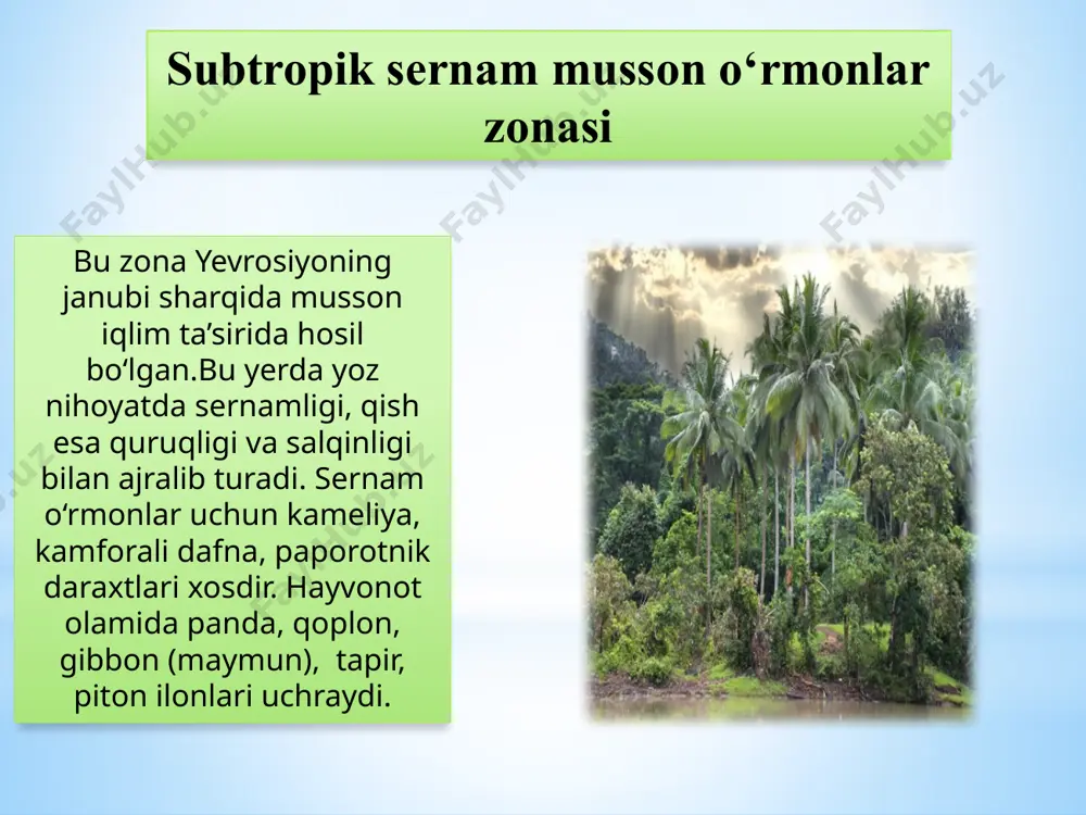subtropik mintaqaning tabiat zonalari - Page 4