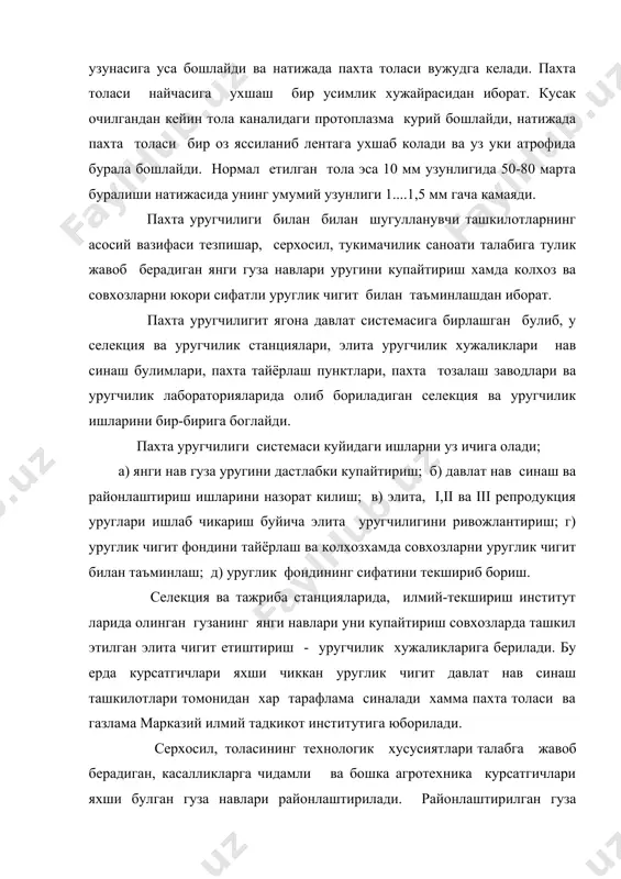 га берилиб, у ерда элита чигит ва унинг репродукцияси олинади. элита уруглик чигити деб гузанинг шу навига оид хусусиятларга эга булган тупларини якка - якка танлаб олиш йули билан чикарилган чигитларга айтилади. элита уруглик чигитининг тозалиги 100%, яъни унга бошка нав чигит аралашмаган булади. биринчи репродукция чигити деб элита уруглик чигитни экиш натижасида олинган чигитларга айтилади. бу чигитларнинг нав тозалиги камида 99% булиши керак. уруглик чигит етиштириш иши умуман куйидаги схемада бажарилади: биринчи ва иккинчи йиллари - колхозларнинг элита уругчилик хужаликларида уруглик чигит экиб, элита ва биринчи репродукция чигитлар олинади; учинчи йили - элита уругчилик хужаликларига якин булган, унумдор тупрокли колхозда биринчи репродукция уруглик чигитни экиб, иккинчи репродукция уруглик чигитни экиб, иккинчми репродукция чигит олинади; туртинчи йили райондаги унумдор тупрокли барча колхозларда иккинчи репродукция уруглик чигити экиб, учинчи репродукция уруглик чигити олинади; бешинчи йили - пахтакор хужаликларнингхаммасида пахта экиб, туртинчи репродукция чигити олинади. келтирилган схемага мувофик уруглик чигитларни алмаштириб, пахта …