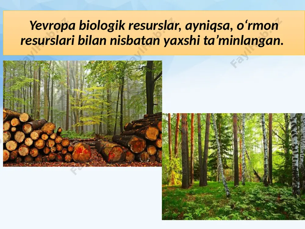 yevropa mamlakatlarining tabiiy resurslari . 9 - sinf - Page 5