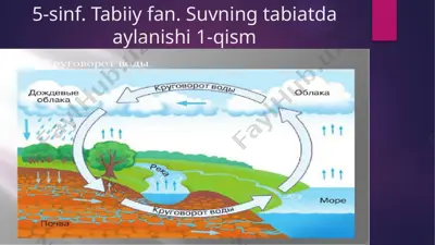 suvning tabiatda aylanishi - 5-sinf. tabiiy fan. 1-qism — PPTX