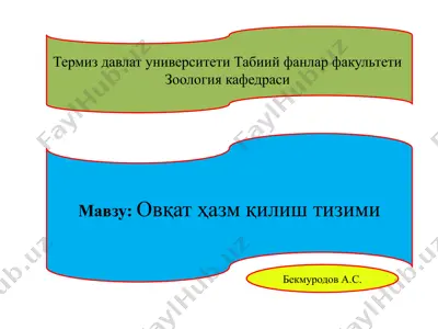 ovqat hazm qilish tizimi — PPTX