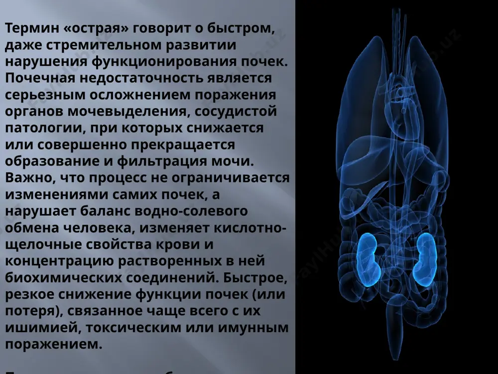 ические реакции, передозировка некоторых лекарств. обезвоживание: сильная рвота, диарея, ожоги, применение чрезмерных доз мочегонных препаратов. цирроз и другие заболевания печени: при этом нарушается отток венозной крови, возникают отеки, нарушается работа сердечно-сосудистой системы и кровоснабжение почек. ренальная. связана с патологией почечной ткани. почка получает достаточное количество крови, но не может образовать мочу. отравления: ядовитые вещества в быту и в промышленности, укусы змей, насекомых, тяжелые металлы, чрезмерные дозы некоторых лекарственных препаратов. попав в кровоток, токсичное вещество достигает почек и нарушает их работу. массивное разрушение эритроцитов и гемоглобина при переливании несовместимой крови, малярии. при этом происходит повреждение почечной ткани. поражение почек антителами при аутоиммунных заболеваниях, например, при миеломной болезни. поражение почек продуктами обмена при некоторых заболеваниях, например, солями мочевой кислоты при подагре. воспалительный процесс в почках: гломерулонефрит, геморрагическая лихорадка с почечным синдромом и др. повреждение почек при заболеваниях, сопровождающихся поражением почечных сосудов: склеродермии, тромбоцитопенической пурпуре и др. травма единственной почки (если вторая по …