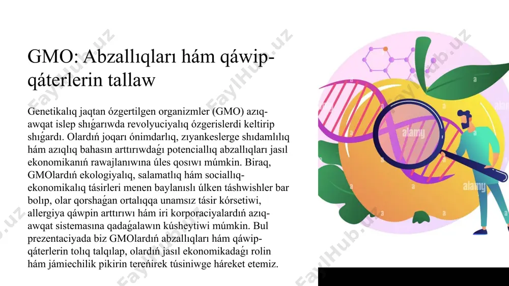 qları hám keleshekte gmolar menen baylanıslı izertlewlerdiń áhmieti haqqında sóylesemiz. ádebiyatlar paydalanılgan ádebiyatlar dizimi. 1 gmo: abzallıqları hám qáwip-qáterlerin tallaw genetikalıq jaqtan ózgertilgen organizmler (gmo) azıq-awqat islep shıǵarıwda revolyuciyalıq ózgerislerdi keltirip shıǵardı. olardıń joqarı ónimdarlıq, zıyankeslerge shıdamlılıq hám azıqlıq bahasın arttırıwdaǵı potenciallıq abzallıqları jasıl ekonomikanıń rawajlanıwına úles qosıwı múmkin. biraq, gmolardıń ekologiyalıq, salamatlıq hám sociallıq-ekonomikalıq tásirleri menen baylanıslı úlken táshwishler bar bolıp, olar qorshaǵan ortalıqqa unamsız tásir kórsetiwi, allergiya qáwpin arttırıwı hám iri korporaciyalardıń azıq-awqat sistemasına qadaǵalawın kúsheytiwi múmkin. bul prezentaciyada biz gmolardıń abzallıqları hám qáwip-qáterlerin tolıq talqılap, olardıń jasıl ekonomikadaǵı rolin hám jámiechilik pikirin tereńirek túsiniwge háreket etemiz. 2 gmolar haqqında túsinik hám táriypler genetikalıq injenerlik: hár túrli gmo túrleri hám olardıń qollanılıwı gmolar, yaǵnıy genetikalıq jaqtan ózgertilgen organizmler - bul ósimlikler, haywanlar yaki mikroorganizmler bolip, olardıń genetikalıq dúzilisi, ádette, belgili qásiyetlerdi jaqsılaw maqsetinde jasalma túrde ózgertilgen. bul process organizmniń dnksına jana genlerdi kirgiziw, bar genlerdi óshiriw, ózgertiw yaki …