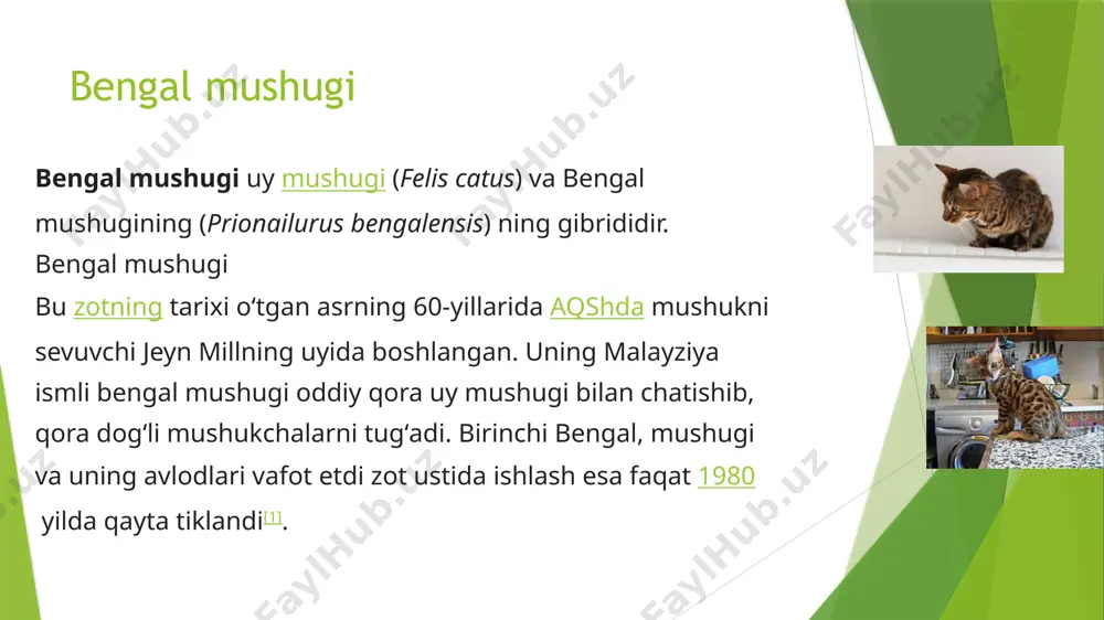 ni olib turish. chizuvchi ustunga ega ekanligingizga ishonch hosil qiling, tercihen baland. image1.jpg image2.jpg image4.jpeg image3.jpeg image5.jpg /docprops/thumbnail.jpeg