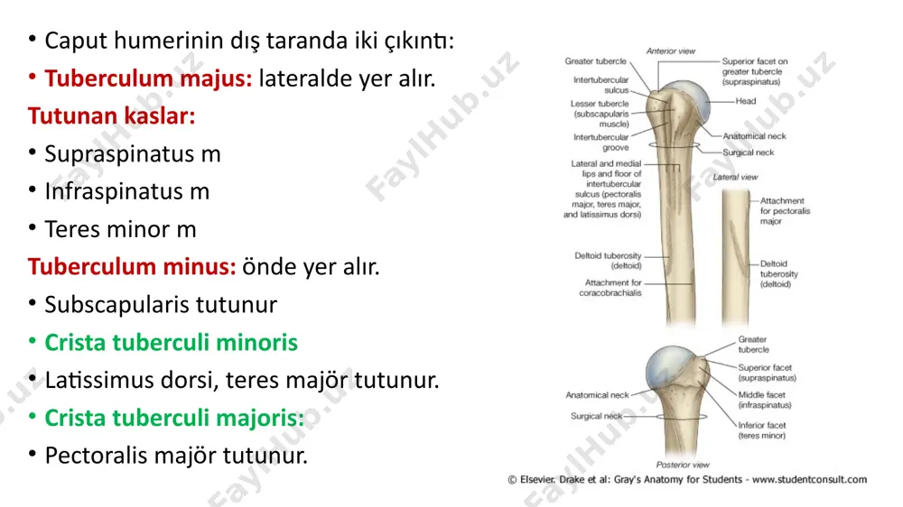 yatağı oturur image1.jpeg image2.png image3.gif image4.png image5.png image6.png image7.jpeg image8.jpeg image9.png image10.png image11.png image17.png image12.jpeg image13.png image15.png image16.png image14.png image18.png image33.emf image19.png image20.png image21.png image22.png image23.jpeg image24.jpeg image25.jpeg image26.png image27.png image28.gif image29.gif image30.gif image31.gif image32.jpeg image33.png image34.jpeg image35.png image36.jpeg image37.png image38.png image39.png image40.jpeg image41.png image42.png image43.png image44.png image45.png image46.png image47.gif image48.gif image49.gif image50.gif image51.png image52.gif image53.gif image54.gif image55.png image56.png image57.png image58.png image59.png image60.png image61.png image62.png image63.png image64.png image65.jpeg image66.jpeg /docprops/thumbnail.jpeg