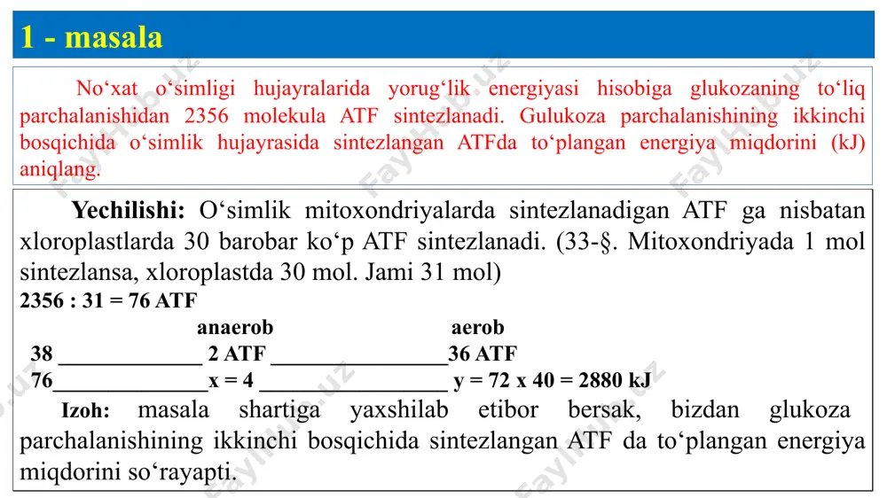 co2 miqdorining %i topiladi: 90 _______ 100% 54 _______ x x = 60% demak, 60%i sarflanmagan dtm masalalari i – bosqich: 1 : 250 = 0,004 mol miqdor ii – bosqich: 250 : 100 = 2,5 mol miqdor 2,5 x 200=500 kj iii – bosqich: 200 kj ________2600 500 kj ________x x = 6500 kj i – bosqich: 0,004x(6500+500)=28 kj ∑(energiya)=500+6500+28=7028 kj uglevod katobolizmida barcha bosqichlarda 1:250 nisbatda energiya ajraldi. glikoliz bosqichida 200 kj energiya to‘plangan bo‘lsa, barcha bosqichlarda qanchadan energiya ajralganini toping. 2020 yil dtm masalalari energetik almashinuv bosqichlarida noma’lum miqdordagi glukoza to‘liq parchalanishidan 7680 kj energiya issiqlik energiyasi sifatida tarqab ketdi. shu glukoza parchalanishining aerob bosqichida hosil bo‘gan atf da to‘plangan energiya miqdorini (kj da) aniqlang. to‘liq va to‘liqsiz parchalanishda hosil bo‘ladigan e qanday taqsimlanishini va qancha atf hosil bo`lganligini yozamiz: to’liqsiz→200 kj to‘liq (o2 ta’sirida) →2600 kj< aerob sharoitda 1 mol glukozadan 36 mol atf va 1440(36 …