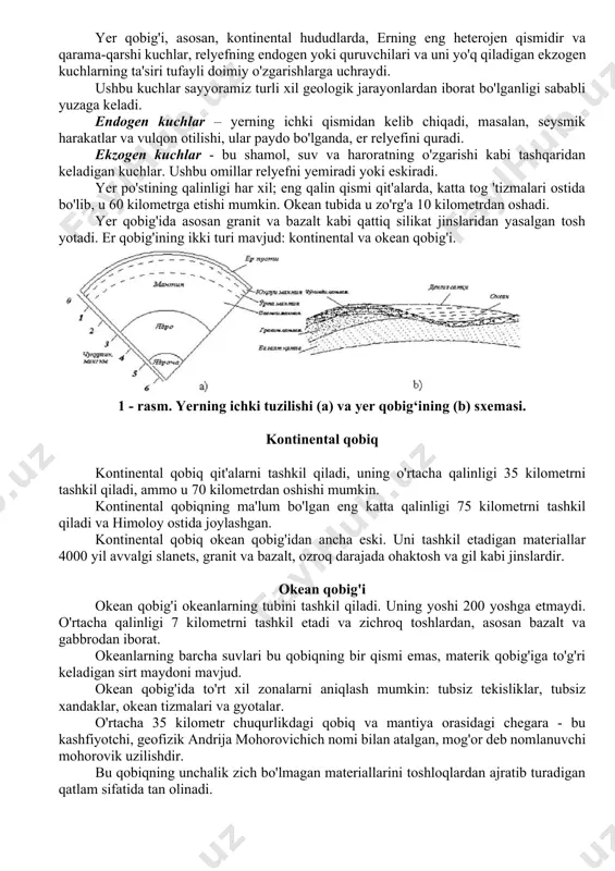 oraliq qatlam va yadro yoki ichki qatlam. 1 – qobiq bu yerning eng yuzaki qatlami va eng ingichka bo'lib, uning massasining atigi 1 foizini tashkil qiladi, u atmosfera va gidrosfera bilan aloqada bo'ladi. sayyora haqida bilgan narsalarimizning 99%, biz er qobig'iga asoslangan holda bilamiz. unda hayotni keltirib chiqaradigan organik jarayonlar sodir bo'ladi (pino, 2017). yer qobig'i, asosan, kontinental hududlarda, erning eng heterojen qismidir va qarama-qarshi kuchlar, relyefning endogen yoki quruvchilari va uni yo'q qiladigan ekzogen kuchlarning ta'siri tufayli doimiy o'zgarishlarga uchraydi. ushbu kuchlar sayyoramiz turli xil geologik jarayonlardan iborat bo'lganligi sababli yuzaga keladi. endogen kuchlar – yerning ichki qismidan kelib chiqadi, masalan, seysmik harakatlar va vulqon otilishi, ular paydo bo'lganda, er relyefini quradi. ekzogen kuchlar - bu shamol, suv va haroratning o'zgarishi kabi tashqaridan keladigan kuchlar. ushbu omillar relyefni yemiradi yoki eskiradi. yer po'stining qalinligi har xil; eng qalin qismi qit'alarda, katta tog 'tizmalari ostida bo'lib, u 60 kilometrga etishi …
