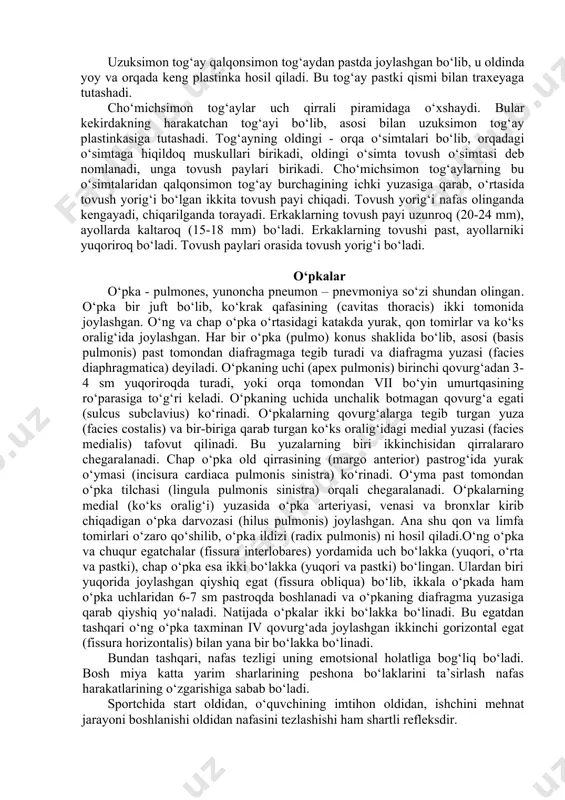 pastki bronxlarga o`pka tarmoqlanganda o`ng va chap o`pka arteriasiga kiradi. har bir bronxlar ichida bronx bo`lakchalari o`pka darvozasida ng bosh bronx 3ta chapi esa 2 ta bo`lakka bo`linadi. bronx bo`laklari o`pka darvozasida 10 ta segmentar bronxlarga bo`linadi 7- va 8- segmentar bronx chap tomonda qo`shiladi. bronxlar ichkarida tarmoqlanadi. nafas tizimi. bronxiolalar dixotomik bo`linadi va diametrik 1mm bo`lgan bo`lakcha bronxi hosil bo`ladi. shu o`lchamdagi bronxlar bronx daraxtini hosil qiladi. ichki tuzilishini o`pkani quyi qismida ko`rish mumkin. yuqori sigmentar bronxlarni taqqoslaganda traxealarda uzuksimon tog`aydan mavjud bo`lgan va ular devorini mustahkamlaydi. bronxiolalarda skelet tog`ay bo`lmaydi. ular o`z ichiga silliq va muskul tolalari va bronxlarni uzayishiga qarab elastik tolalarni ham qamrab oladi. hiqildoq asosan tog‘aylardan tuzilgan bo‘lib, tog‘aylar muskullar va bog‘lag‘ichlar bilan bir-biriga birikkan. hiqildoq tog‘aylariga: qalqonsimon, uzuksimon, cho‘michsimon, hiqildoq ustligi, shoxsimon va ponasimon tog‘aylar kiradi. qalqonsimon tog‘ay eng katta toq tog‘ay bo‘lib, to‘rtburchak shaklidagi o‘ng va chap gialinli tog‘ay plastinkalardan tuzilgan. bu plastinkalar …