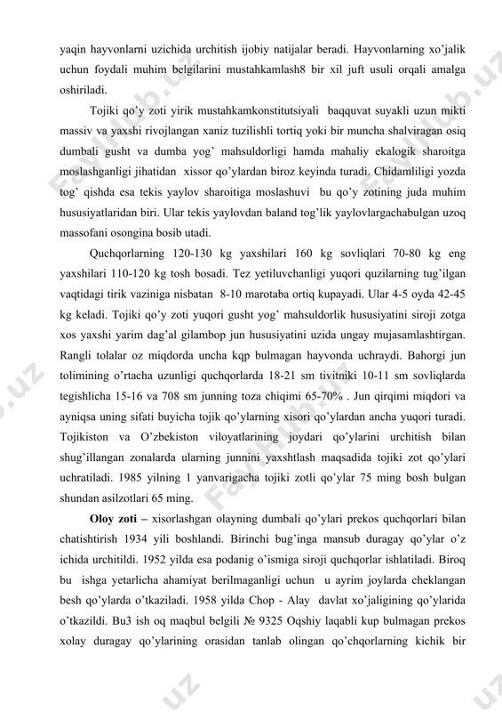 joydari qo’ylarini urchitish bilan shug’illangan zonalarda ularning junnini yaxshtlash maqsadida tojiki zot qo’ylari uchratiladi. 1985 yilning 1 yanvarigacha tojiki zotli qo’ylar 75 ming bosh bulgan shundan asilzotlari 65 ming. oloy zoti – xisorlashgan olayning dumbali qo’ylari prekos quchqorlari bilan chatishtirish 1934 yili boshlandi. birinchi bug’inga mansub duragay qo’ylar o’z ichida urchitildi. 1952 yilda esa podanig o’ismiga siroji quchqorlar ishlatiladi. biroq bu ishga yetarlicha ahamiyat berilmaganligi uchun u ayrim joylarda cheklangan besh qo’ylarda o’tkaziladi. 1958 yilda chop - alay davlat xo’jaligining qo’ylarida o’tkazildi. bu3 ish oq maqbul belgili № 9325 oqshiy laqabli kup bulmagan prekos xolay duragay qo’ylarining orasidan tanlab olingan qo’chqorlarning kichik bir guruppadagi sovliqqa ishlatishda juda dag’al bulishi hisobga olinib oq tusli oloy qo’ylari bilan seleksiya ishlari loib borilib ular bir qatorda kungir va jigar tusli qo’ylarni urchitish ustida ularning usish rivojlanishini qirqim miqdori va sifatini qiyosiy o’rganish natijasida ish olib boradi. biroq yaratilgan oq tusli hayvonlarga aylantirishni tulio’ …