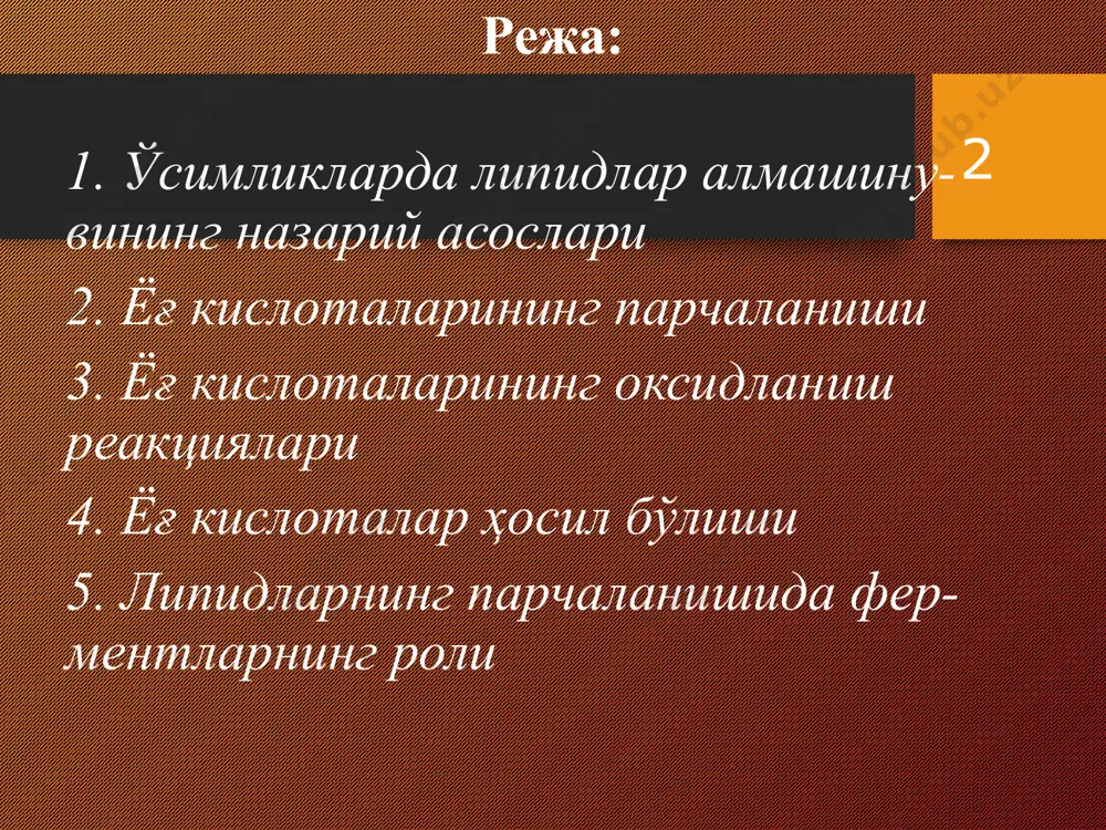 иф қилган гипотеза асосида яратилган. кнооп ҳайвонларда ўтказган тажрибаларида бу кислоталар мунтазам оксидланиши туфайли улардан бирданига камида икки углеродли бирикма ажралиб чиқишини ва натижада занжирдаги углерод атомларининг сони иккитага камайишини кузатган. бу жараёнда ҳар доим карбоксил группага нисбатан -ҳолатда жойлашган углерод атоми оксидланади. * триглицеридларнинг гидролизланиши нати-жасида ҳосил бўладиган ёғ кислоталарнинг оксидланиш йўли билан парчаланиши универсал биохимиявий жараён бўлиб, барча тирик организмларда бир хил боради. бу жараённи катализловчи ферментлар митохондрийларда мужассамлашган. ёғ кислоталар - ва - оксидланиш йўли билан парчаланади. * ўсимликларда ёғ кислоталарнинг - оксидла-ниш йўли билан парчаланишини биринчи марта грейс кузатган. грейс тажрибала-рининг принципи ва у қўллаган усуллар худди кноопнинг ҳайвонлар устида ўтказган тажрибаларига ўхшайди. грейс - фенил ёғ кислотанинг ўстирувчилик фаолияти унинг ёнбош занжирининг узунлигига боғлиқ эканлигини аниқлаган. грейснинг бу тажрибалари ўсимликларда ёғ кислоталар -оксидланиш йўли билан парчаланишини исботлаб берди. * кейинги йилларда грин, очао, ларди, ленинжер ва бошқаларнинг бир қатор тажрибаларида ёғларнинг - оксидланиш назарияси ҳар …